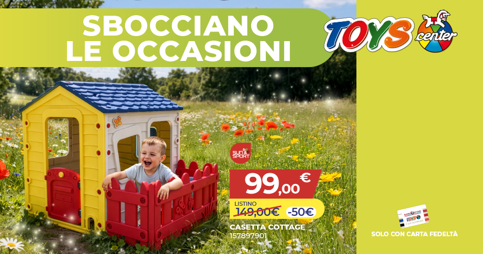 Web_TOYS_occasionim-569340176.jpg