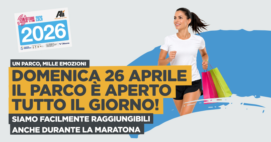 webparco_locand.mar-550918149.jpg
